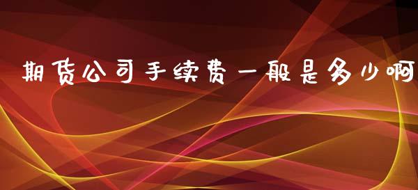 期货公司手续费一般是多少啊