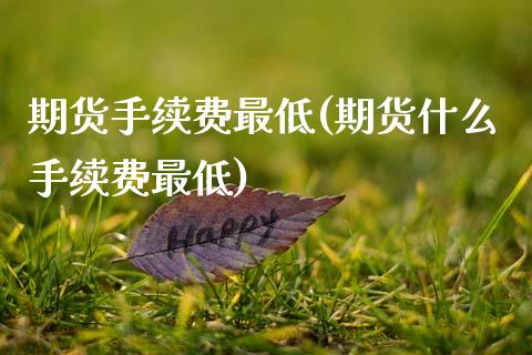 期货手续费最低(期货什么手续费最低)_期货理财_第1张_宇龙理财网 期货手续费最低(期货什么手续费最低)_https://www.dglong8.com_期货理财_第1张