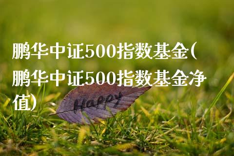 鹏华中证500指数基金(鹏华中证500指数基金净值)