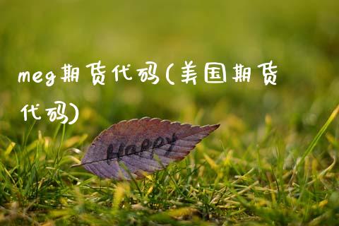 meg期货代码(美国期货代码)