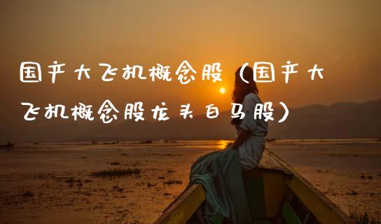国产大飞机概念股（国产大飞机概念股龙头白马股）