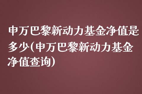 申万巴黎新动力基金净值是多少(申万巴黎新动力基金净值查询)