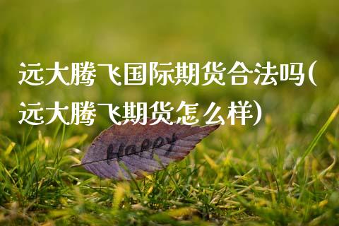 远大腾飞国际期货合法吗(远大腾飞期货怎么样)