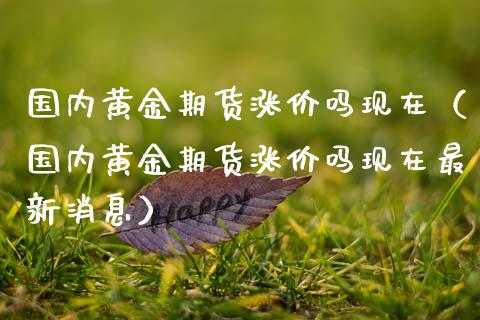 国内黄金期货涨价吗现在（国内黄金期货涨价吗现在最新消息）