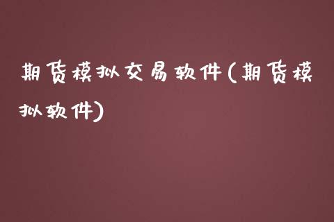 期货模拟交易软件(期货模拟软件)
