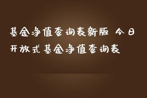 基金净值查询表新版 今日式基金净值查询表