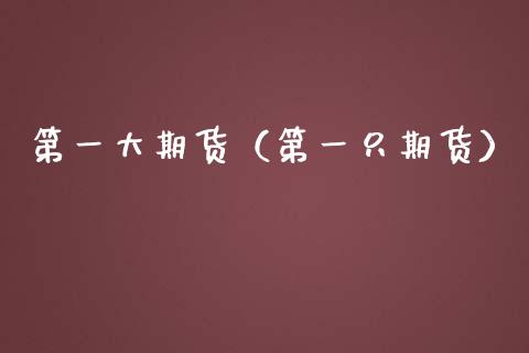 第一大期货（第一只期货）