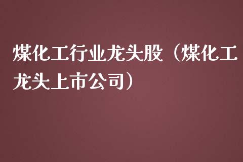 煤化工行业龙头股（煤化工龙头上市公司）