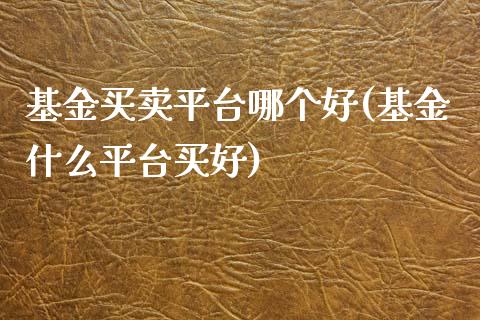 基金买卖平台哪个好(基金什么平台买好)