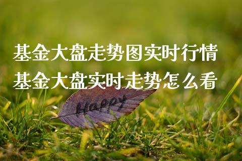 基金大盘走势图实时行情 基金大盘实时走势怎么看