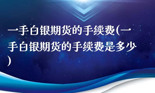一手白银期货的手续费(一手白银期货的手续费是多少)