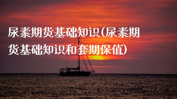 尿素期货基础知识(尿素期货基础知识和套期保值)