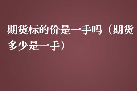 期货标的价是一手吗（期货多少是一手）
