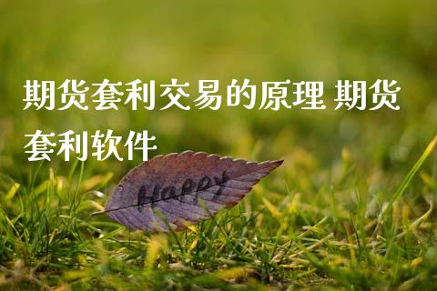 期货套利交易的原理 期货套利软件