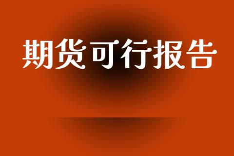 期货可行报告