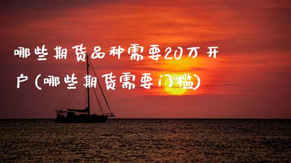 哪些期货品种需要20万开户(哪些期货需要门槛)