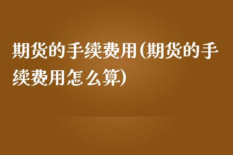 期货的手续费用(期货的手续费用怎么算)
