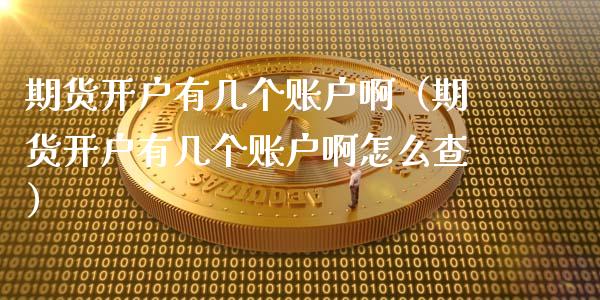期货开户有几个账户啊（期货开户有几个账户啊怎么查）