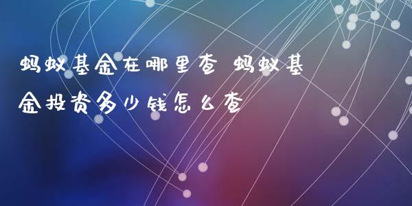 蚂蚁基金在哪里查 蚂蚁基资多少钱怎么查