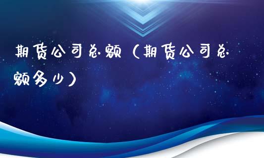 期货公司总额（期货公司总额多少）
