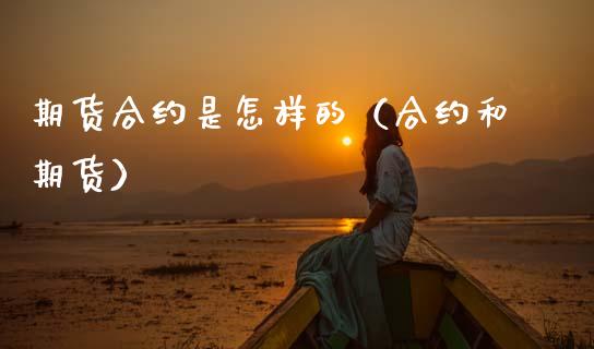 期货合约是怎样的（合约和期货）