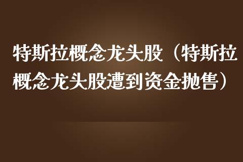 特斯拉概念龙头股（特斯拉概念龙头股遭到资金抛售）_https://www.dglong8.com_财经要闻_第1张