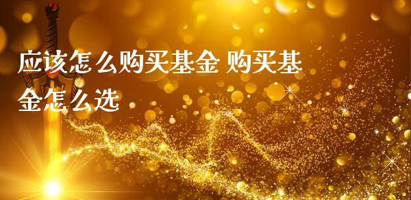 应该怎么购买基金 购买基金怎么选_https://www.dglong8.com_基金理财_第1张