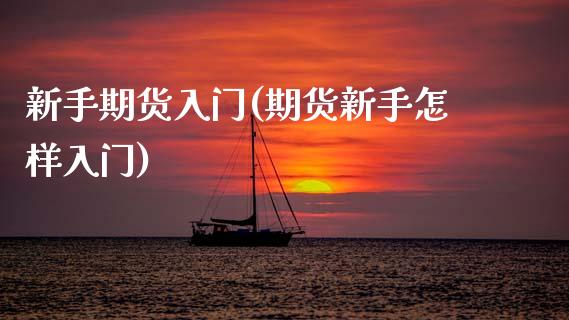 新手期货入门(期货新手怎样入门)