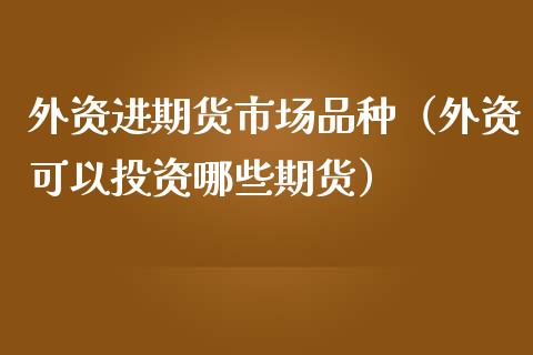 外资进期货市场品种（外资可以投资哪些期货）