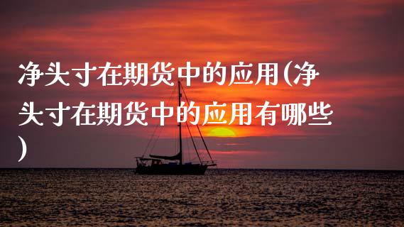 净头寸在期货中的应用(净头寸在期货中的应用有哪些)