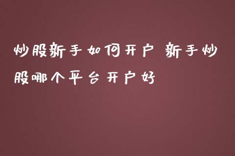 炒股新手如何开户 新手炒股哪个平台开户好