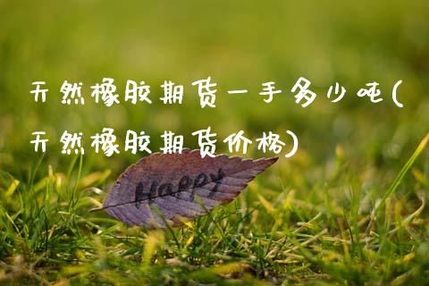 天然橡胶期货一手多少吨(天然橡胶期货价格)