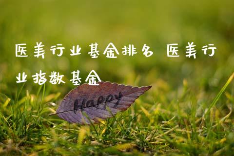 医美行业基金排名 医美行业指数基金
