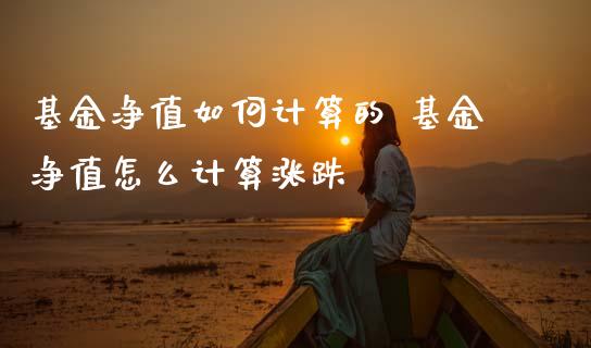 基金净值如何计算的 基金净值怎么计算涨跌