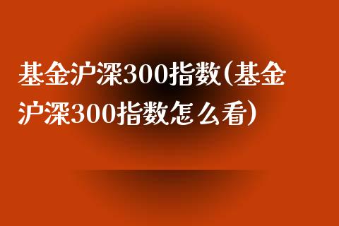 基金沪深300指数(基金沪深300指数怎么看)