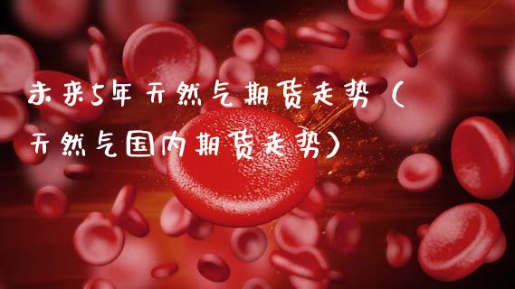 未来5年天然气期货走势（天然气国内期货走势）