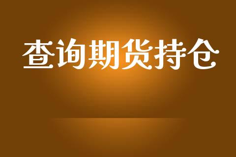 查询期货持仓