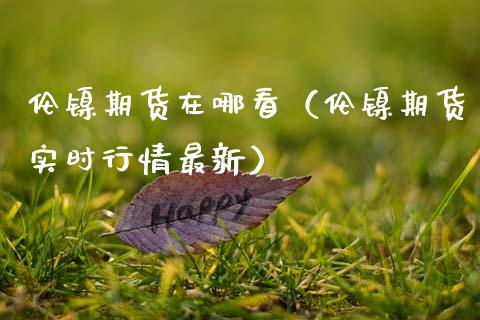 伦镍期货在哪看（伦镍期货实时行情最新）