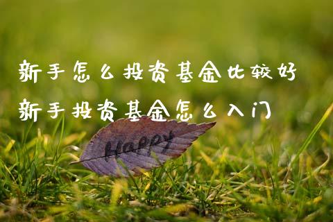 新手怎么投资基金比较好 新手投资基金怎么入门