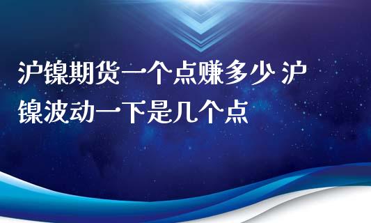 沪镍期货一个点赚多少 沪镍波动一下是几个点