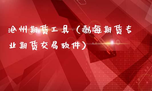 沧州期货工具（渤海期货专业期货交易软件）
