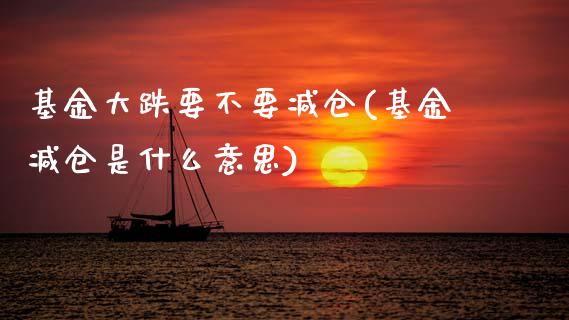 基金大跌要不要减仓(基金减仓是什么意思)