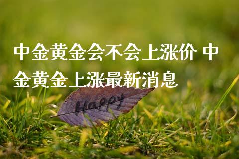 黄金会不会上涨价 黄金上涨最新消息