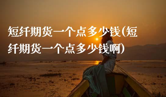 短纤期货一个点多少钱(短纤期货一个点多少钱啊)