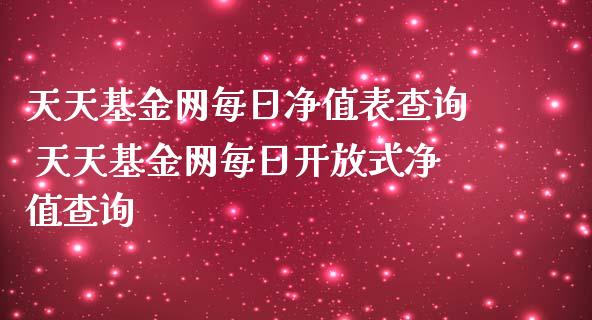 天天基金网每日净值表查询 天天基金网每日式净值查询