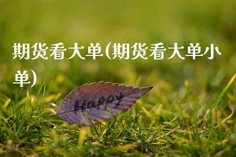 期货看大单(期货看大单小单)