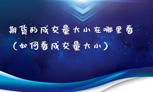 期货的成交量大小在哪里看（如何看成交量大小）