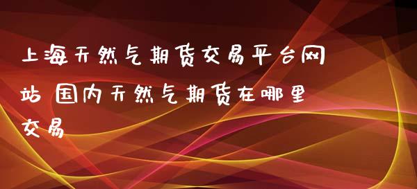 上海天然气期货交易平台网站 国内天然气期货在哪里交易