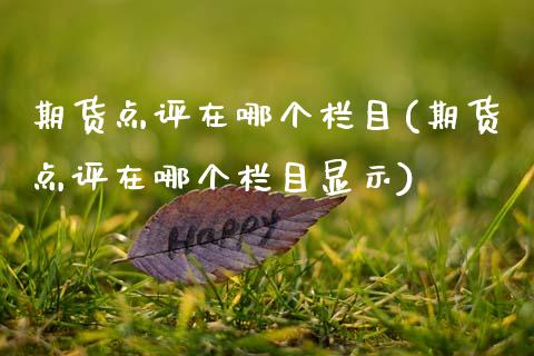 期货点评在哪个栏目(期货点评在哪个栏目显示)