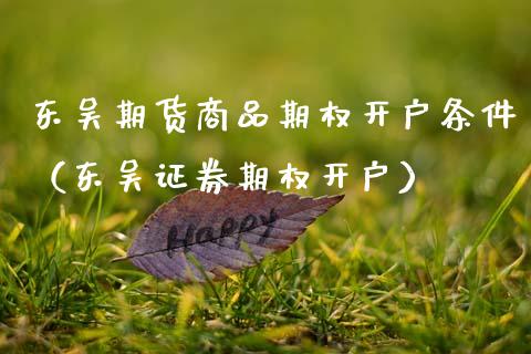 东吴期货商品期权开户条件（东吴证券期权开户）